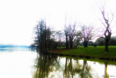 Reflection of trees in calm lake