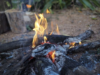 Close-up of bonfire on wood