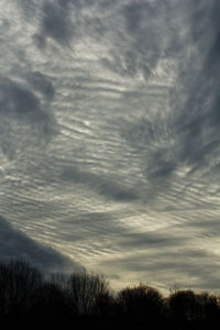 Low angle view of silhouette trees against dramatic sky