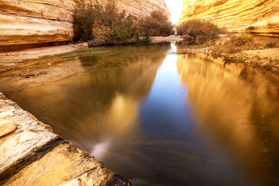 Scenic view of lake