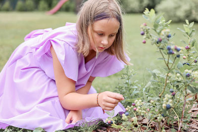 Little girl picking blueberry in the garden