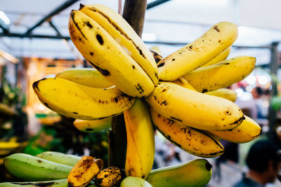 Close-up of yellow fruit