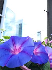Surface level of modern building against sky