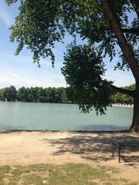 Reflection of trees in lake