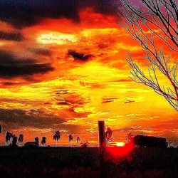 Scenic view of dramatic sky during sunset