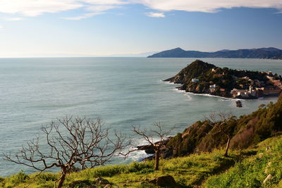 Sestri levante. view from punta manara hiking trail. liguria. italy