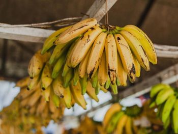 Close-up of bananas