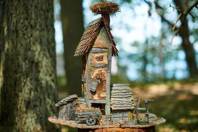 Close-up of bird feeder