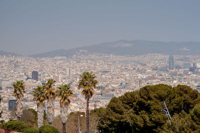 Trees and cityscape against clear sky