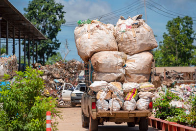 Stack of firewood by plants against trees