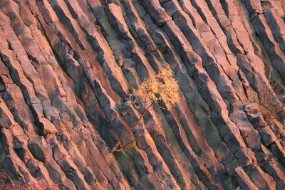 Full frame shot of rock