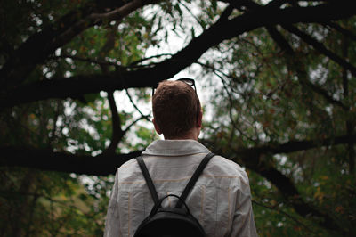 Rear view of man standing in forest