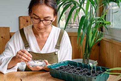 Woman sowing germinated seeds in mini greenhouse at home. home leisure growing seedlings at home.