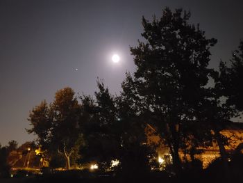 Low angle view of silhouette trees against sky at night