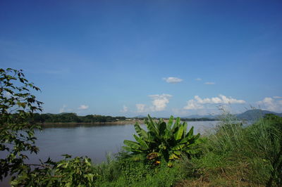 Scenic view of lake against blue sky