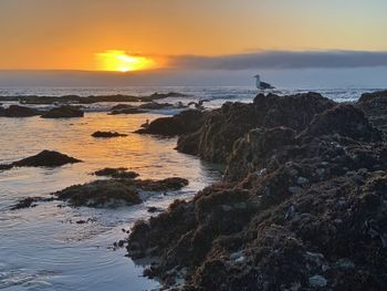 Scenic view of sea against sky during sunset