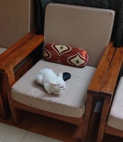 High angle view of a cat sleeping on chair