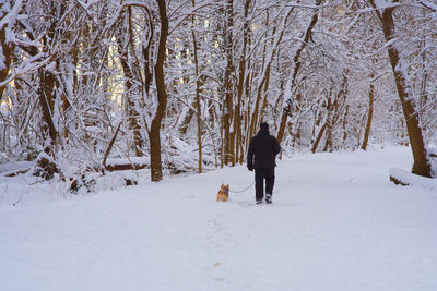 Rear view of man with dog walking in snow
