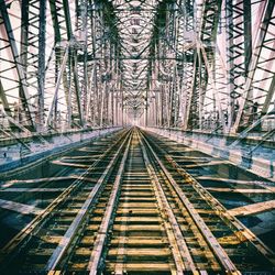 Railroad tracks amidst trees in forest