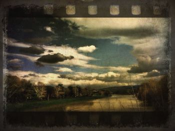 Trees against cloudy sky