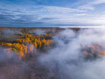 Scenic view of waterfall in forest against sky