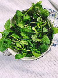 Close-up of salad in plate on table