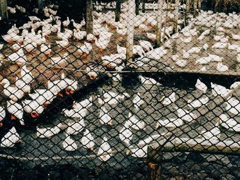 View of chainlink fence