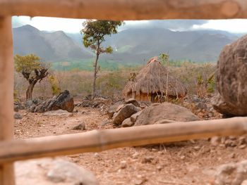 Scenic view of field and mountains against sky