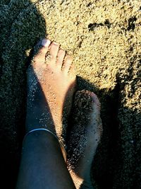 Low section of person standing on wet sand at beach