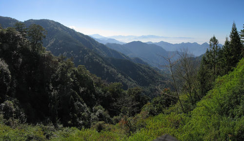 Scenic view of trees and mountains against sky