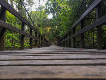 Surface level of footbridge along trees