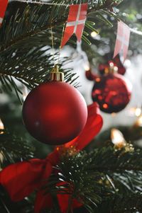 Close-up of christmas decorations hanging on tree