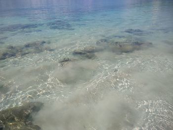 High angle view of sea shore