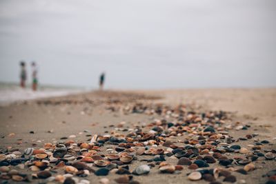 Surface level of stones on beach against sky