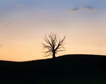Silhouette bare tree on field against sky during sunset
