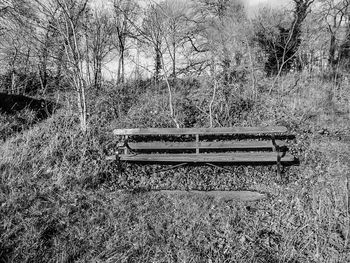 Empty bench in park