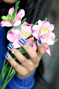 Close-up of hand holding pink flowers