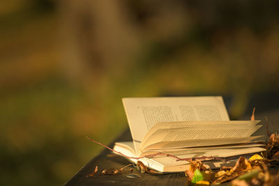 Close-up of open book