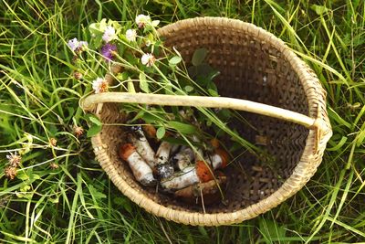 High angle view of wicker basket on field