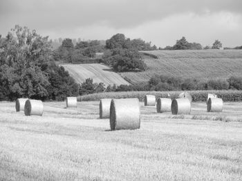 View of hay bales in farm