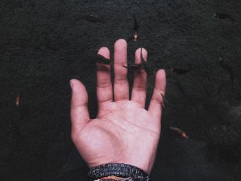 High angle view of person hand on sand