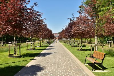 Empty park bench by trees against clear sky