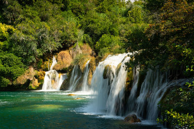 Waterfall in forest