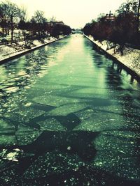 Reflection of trees in water