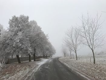 Road amidst trees against sky during winter