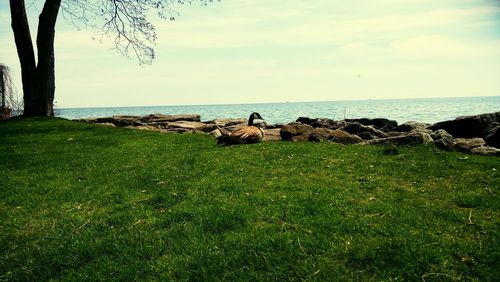 Scenic view of sea against sky