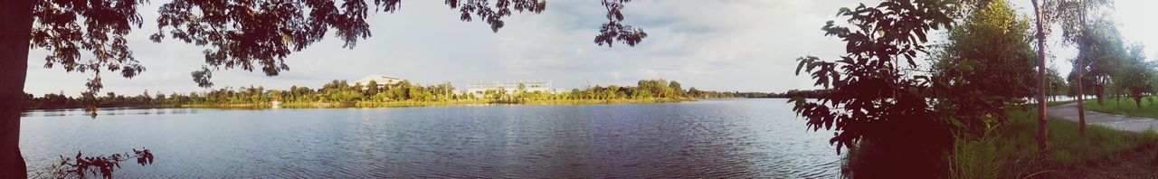 tree, sky, water, tranquility, tranquil scene, scenics, beauty in nature, nature, lake, cloud - sky, growth, cloud, idyllic, waterfront, reflection, calm, outdoors, no people, sea, cloudy