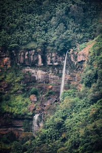 View of waterfall in forest