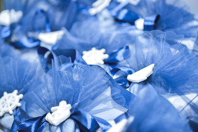 Full frame shot of blue and white flowering plant