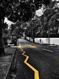Empty road along trees